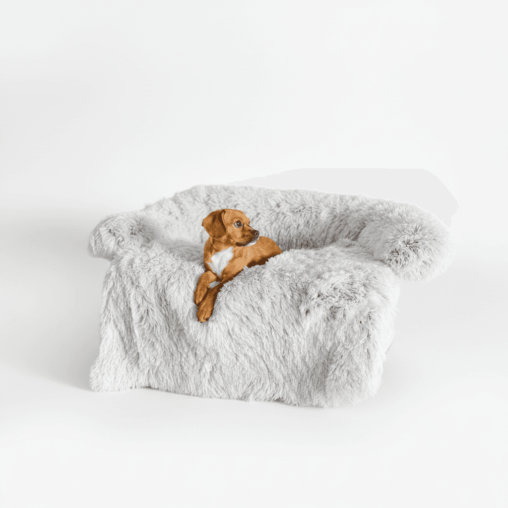 Dog Bed