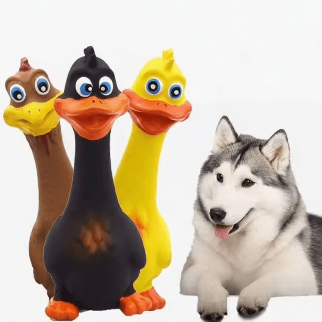 3pcs Latex Screaming Chicken Toys Eco Friendly TPR Pet Squeaky Dog Interactive Play Chew Toys